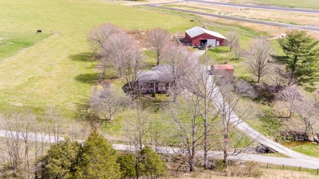 Absolute Auction-4 Bedroom Brick Home in Campbellsville, KY - image 11