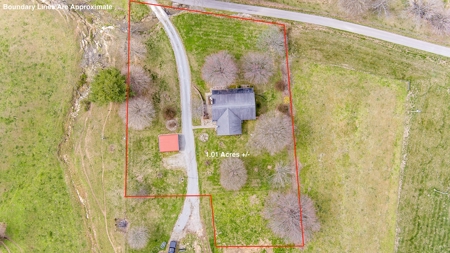 Absolute Auction-4 Bedroom Brick Home in Campbellsville, KY - image 15