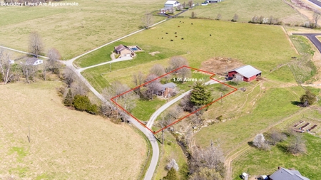 Absolute Auction-4 Bedroom Brick Home in Campbellsville, KY - image 14