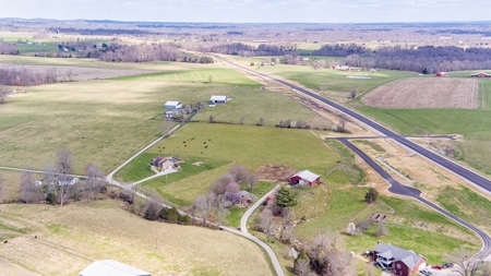Absolute Auction-4 Bedroom Brick Home in Campbellsville, KY - image 8