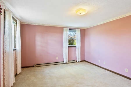 Absolute Auction-4 Bedroom Brick Home in Campbellsville, KY - image 39
