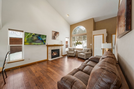 Beautiful Mountain Home Southwestern Colorado - image 9