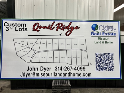 3+/- Acre Lots Near St. Paul, MO- Quail Ridge Subdivision - image 8