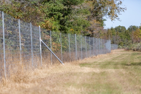 360+/- Acres High Fence Land for Sale North Louisiana - image 7