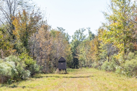 360+/- Acres High Fence Land for Sale North Louisiana - image 5
