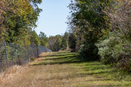 360+/- Acres High Fence Land for Sale North Louisiana - image 4