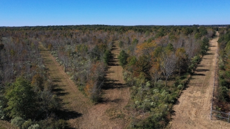 360+/- Acres High Fence Land for Sale North Louisiana - image 8