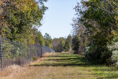 360+/- Acres High Fence Land for Sale North Louisiana - image 18