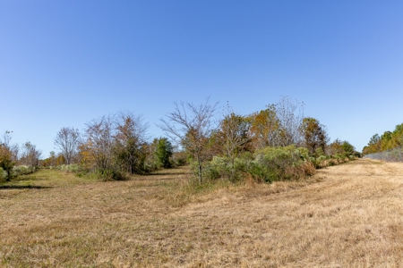 360+/- Acres High Fence Land for Sale North Louisiana - image 10