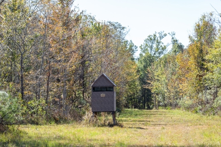 360+/- Acres High Fence Land for Sale North Louisiana - image 14