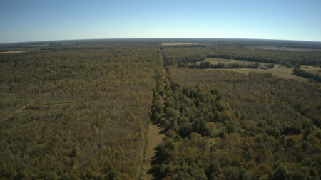 360+/- Acres High Fence Land for Sale North Louisiana - image 13