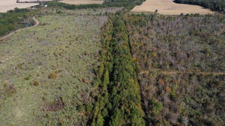 360+/- Acres High Fence Land for Sale North Louisiana - image 6