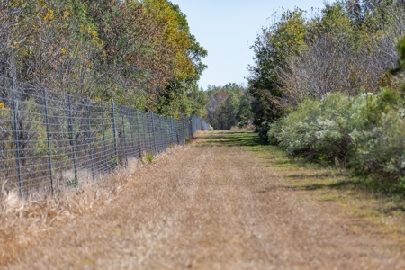 360+/- Acres High Fence Land for Sale North Louisiana - image 9