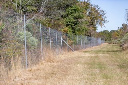 360+/- Acres High Fence Land for Sale North Louisiana - image 3