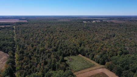 360+/- Acres High Fence Land for Sale North Louisiana - image 1