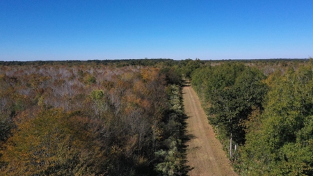 360+/- Acres High Fence Land for Sale North Louisiana - image 17