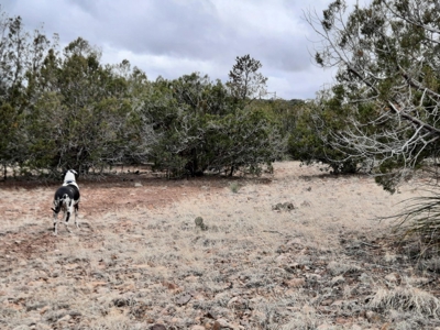 Arizona - Off Grid rural mountain property - image 3