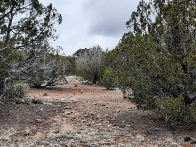 Arizona - Off Grid rural mountain property - image 4