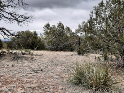 Arizona - Off Grid rural mountain property - image 7