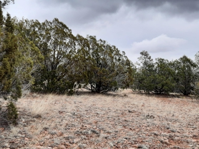 Arizona - Off Grid rural mountain property - image 5