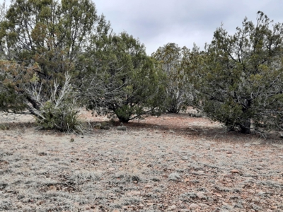Arizona - Off Grid rural mountain property - image 2