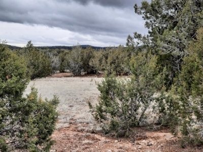 Arizona - Off Grid rural mountain property - image 8