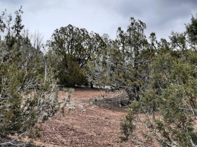 Arizona - Off Grid rural mountain property - image 6