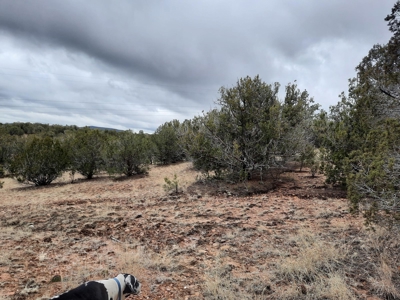 Rural, Off Grid , Mountain property - image 2