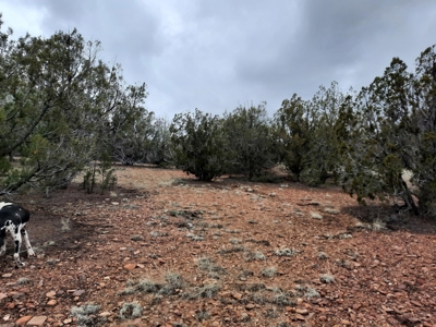 Rural, Off Grid , Mountain property - image 3