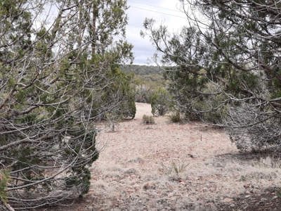 Rural, Off Grid , Mountain property - image 6