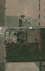 Acreage for sale in McAlpin, FL - image 6