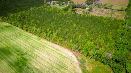 Acreage for sale in McAlpin, FL - image 1