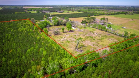 Acreage for sale in McAlpin, FL - image 4