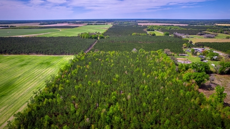 Acreage for sale in McAlpin, FL - image 2
