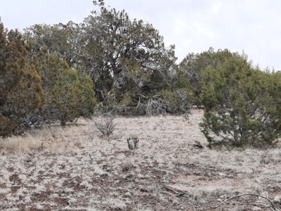 Northern AZ - Off Grid rural mountain property - image 1