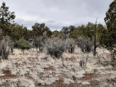 Northern AZ - Off Grid rural mountain property - image 3