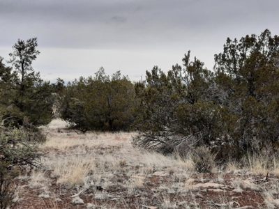 Northern AZ - Off Grid rural mountain property - image 4