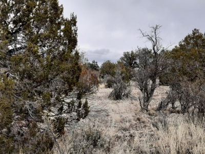 Northern AZ - Off Grid rural mountain property - image 5
