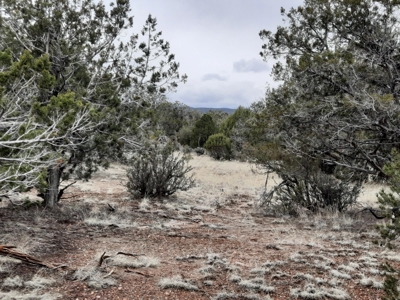 Northern AZ - Off Grid rural mountain property - image 8