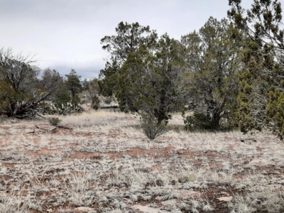 Northern AZ - Off Grid rural mountain property - image 6