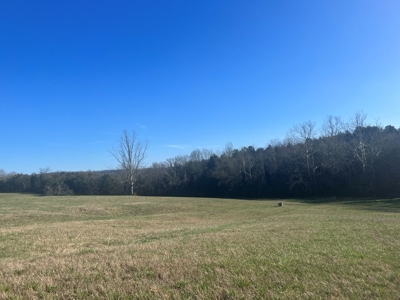 Farm Land For Sale in Hamblen County, TN - image 25
