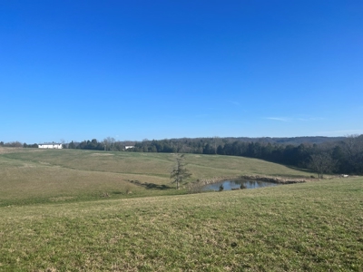 Farm Land For Sale in Hamblen County, TN - image 22