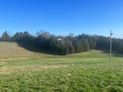 Farm Land For Sale in Hamblen County, TN - image 13