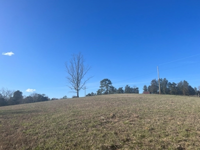 Farm Land For Sale in Hamblen County, TN - image 17