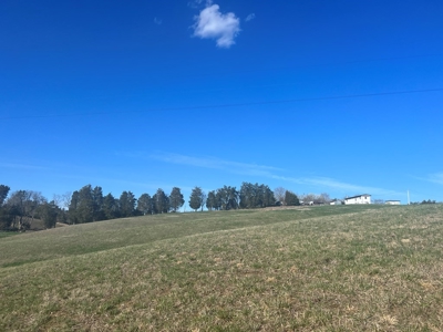 Farm Land For Sale in Hamblen County, TN - image 8