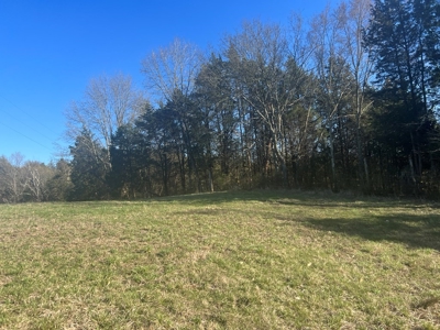 Farm Land For Sale in Hamblen County, TN - image 5