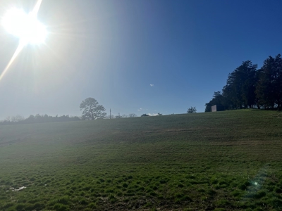 Farm Land For Sale in Hamblen County, TN - image 10