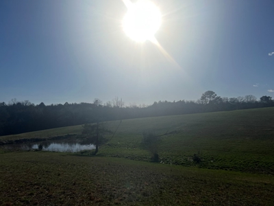 Farm Land For Sale in Hamblen County, TN - image 21
