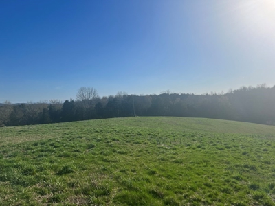 Farm Land For Sale in Hamblen County, TN - image 11