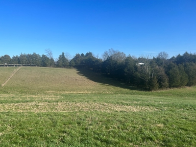 Farm Land For Sale in Hamblen County, TN - image 14